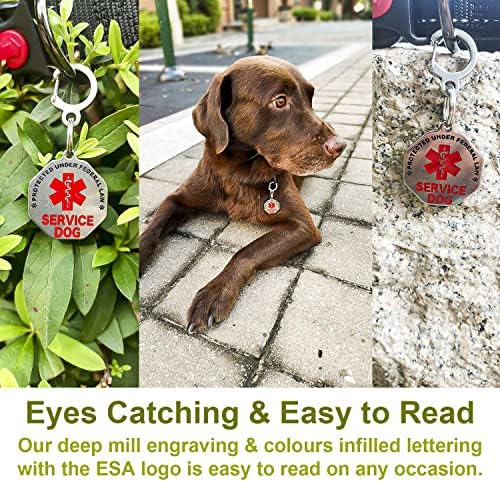 Цирег Двострана Сервисна Ознака За Кучиња Со Црвено Медицинско Предупредување Идентификација На Куче, Медалјон За Службено Куче, Нерѓосувачки