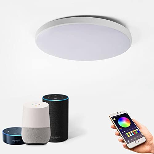 Aiyato Smart LED тавански светло со таванот со Apple HomeKit, Alexa и Google Assistant RGBCW тавански светлосен тајмер Распоред 24W Flush
