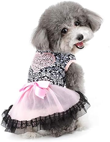 Зунеа кучиња фустан за мали кучиња Девојче лето лента Туту фустан секси чипка кутре здолниште со лак мека памучна кошула елек облека облека