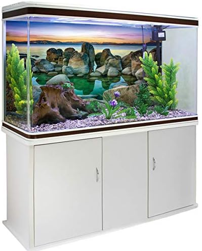 Fantasy Star Aquarium Background Seaside Reef Rish Tank Wallpaper Лесен за нанесување и отстранување на PVC налепници слики Постери