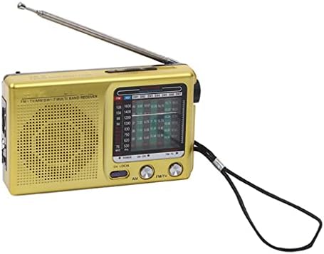 LMMDDP Ретро временски услови со целосен бенд рачен SW AM FM мини батерија вграден вграден звучник