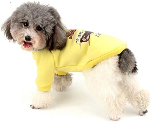 Ранфи мало куче пуловер џемпер руно џемпер девојче момче зимско топло кутично кутре облека миленичиња спортска кошула за ладно