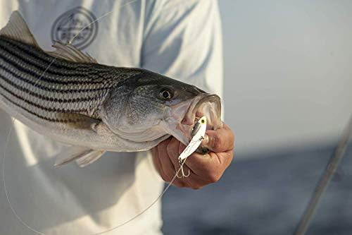 Steelshad - Mini Series - 2 пакувања - Libless Crankbait за риболов на слатководни води - Совршен за риболов со мраз, риболов со тава, крпи, walleye и бас