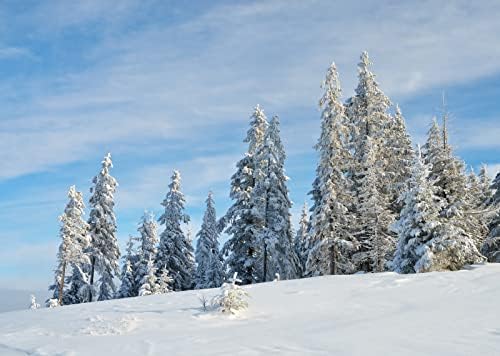 Корфото 9x6ft ткаенина снег зимски пејзаж позадина ела шума зимска земја земја позадина бела снежна шума Божиќна забава украси празник семејство