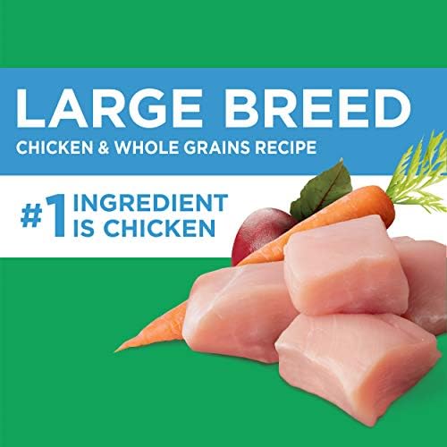Иамс Висока Протеинска Голема Раса Сува Храна За Кучиња Со Вистинско Пилешко, 30 фунти. Торба