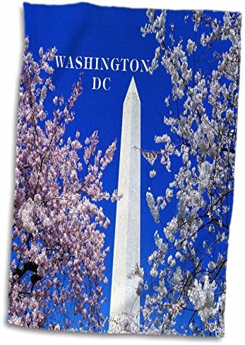 Цветање на цреша од 3drose против споменикот на Вашингтон - крпи
