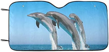 Квин Кафе делфини скокаат на океанскиот автомобил автоматска сенка 55 x 29,53
