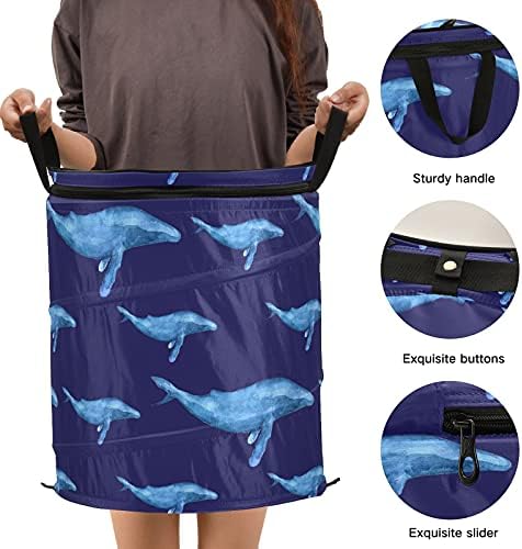Хамбек кит се појавува алишта за перење алишта со патент за патент, корпа за перење со рачки со рачки што може да се сруши за складирање