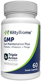 Пробиотици За Мачки од животински биом - Гмп Пребиотици и Пробиотици-Ги Намалува Избувнувањата На Дијареа кај Мачките-Китибиом