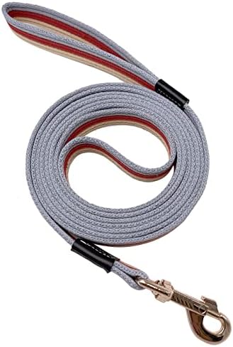 Shorven Soft Cotton Web Dog Leash Основно тренирање олово за одење, долга 5ft, црвена ширина од 1 инчи