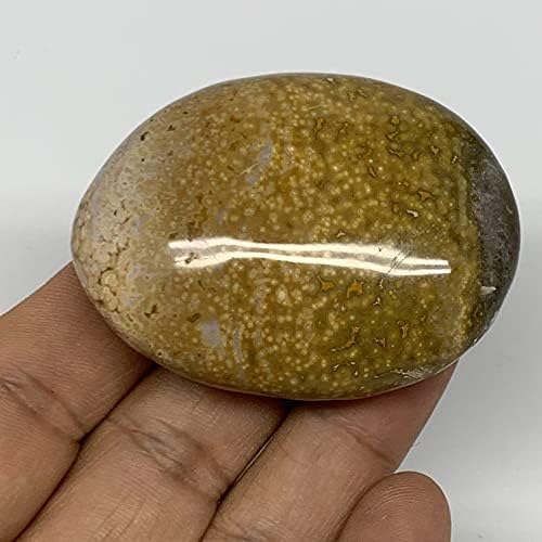 Watangems 65.7g, 2,2 x1.7 x0.9 Океан јаспер палм-камен или океан орбикуларен јаспер кристален галетски скапоцени камења @madagascar,