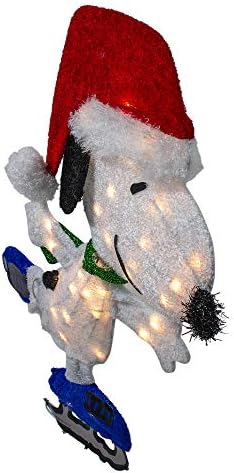 Northlight 24 Бело и црвено пред -осветлување кикирики Кикирики на сите омилени кучиња на отворено Божиќно декор - чисти светла