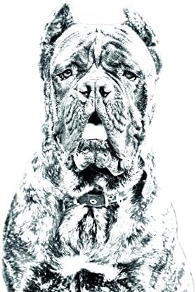 Цане Корсо, овална надгробна плоча од керамичка плочка со слика на куче