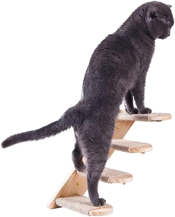 Орев Мачка Качување Полица Ѕид Монтирани Чекор Мачка Скалила Со Гребење Платформа