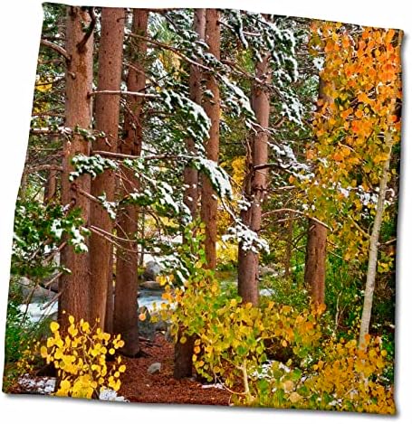 3DROSE свеж снег на аспекти и борови, Национална шума Ињо, Калифорнија, САД - крпи