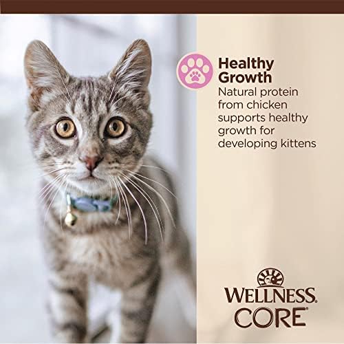 Велнес јадро ситни дегустатори Влажна храна за мачиња, целосна и избалансирана природна храна за домашни миленици, направена со вистинско